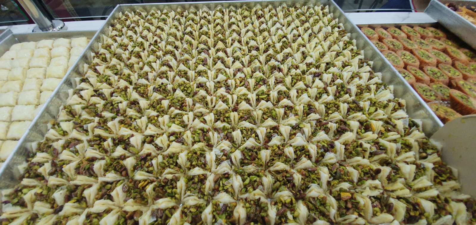 WhatsApp Image 2021-11-18 at 8.44.16 PM.jpeg